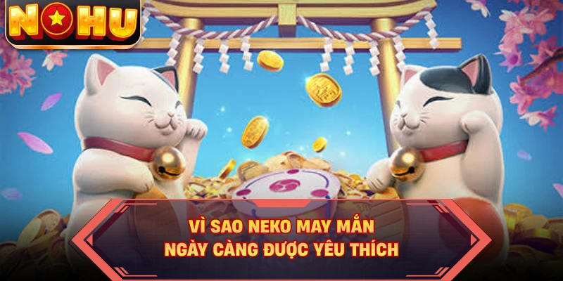 Vì sao Neko may mắn ngày càng được yêu thích
